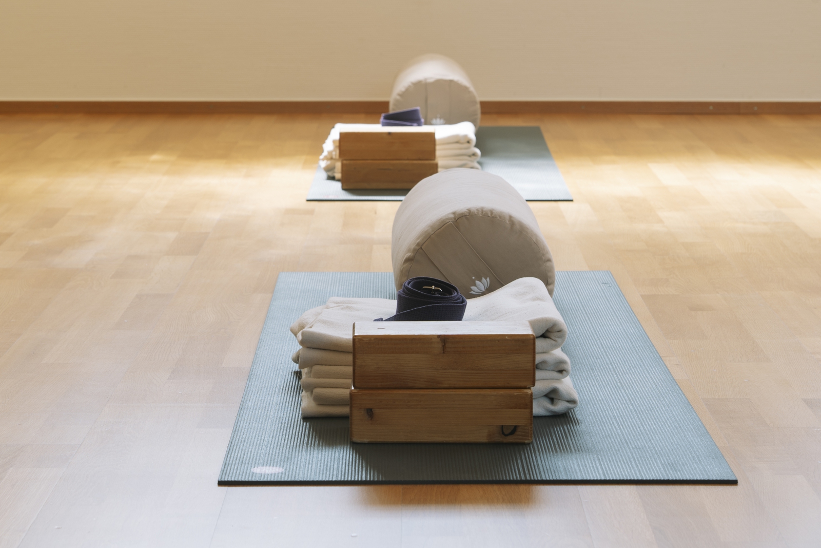 Iyengar Kursübersicht Iyengar Yoga Unterricht