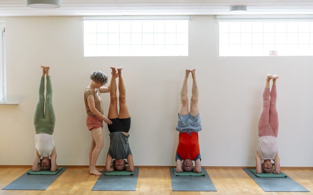 Iyengar Yoga Emmendingen